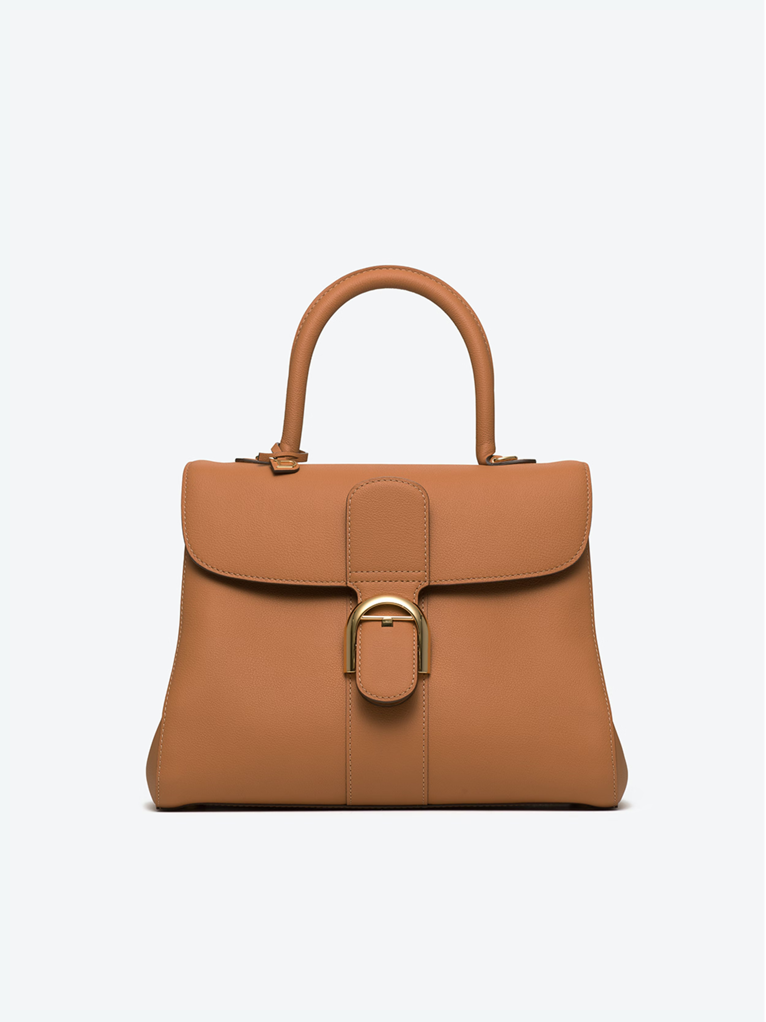 The DELVAUX BRILLANT LUXURY BAG Overview (Everything You Need To Know) 
