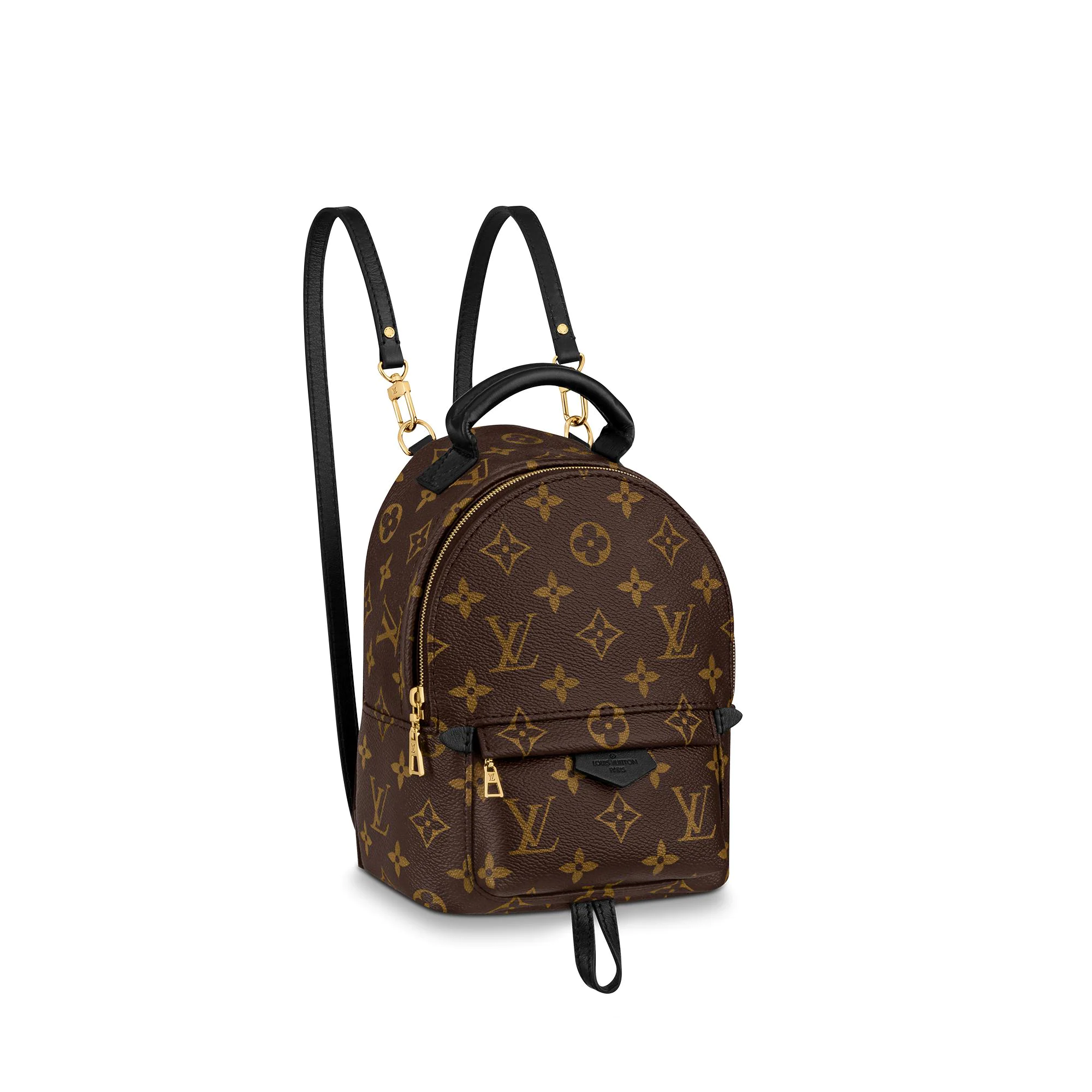 tas backpack Louis Vuitton Monogram Palm Spring PM Backpack